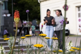 R1_6004_lightroom_faithful-picture-style