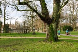 Canon-R1_1077_Capture-One_Landscape-picture-style