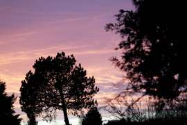 Canon-R1_1677_Capture-One_Neutral-picture-style