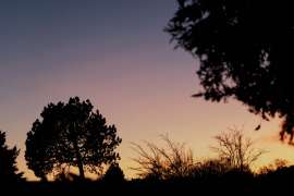 Canon-R1_1908_Capture-One_Neutral-picture-style