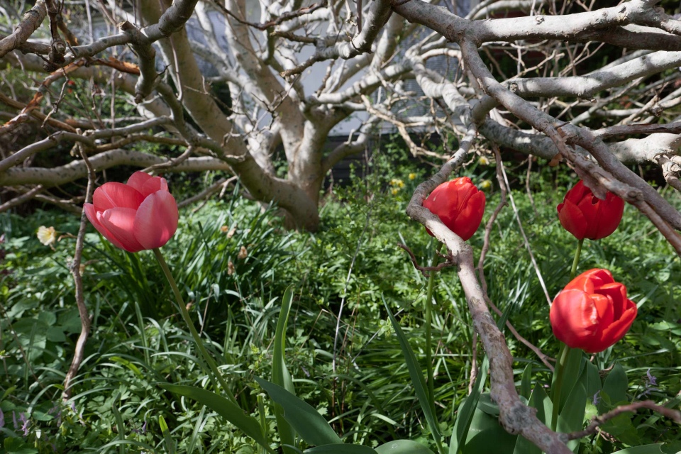 0005_Capture-One_Canon-R3-Camera-Neutral