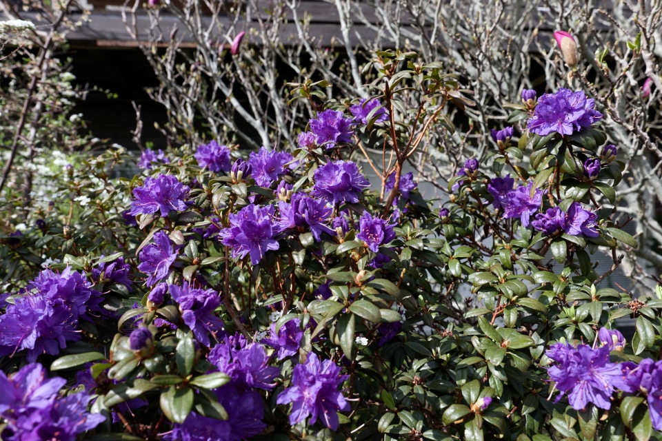 0006_Capture-One_Canon-R3-Camera-Neutral-1