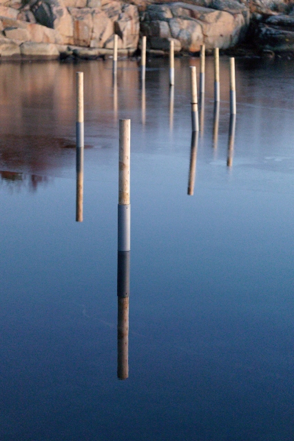 0008_Capture-One_Canon-R3-Camera-Neutral