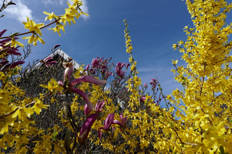 0011_Capture-One_Canon-R3-Camera-Neutral