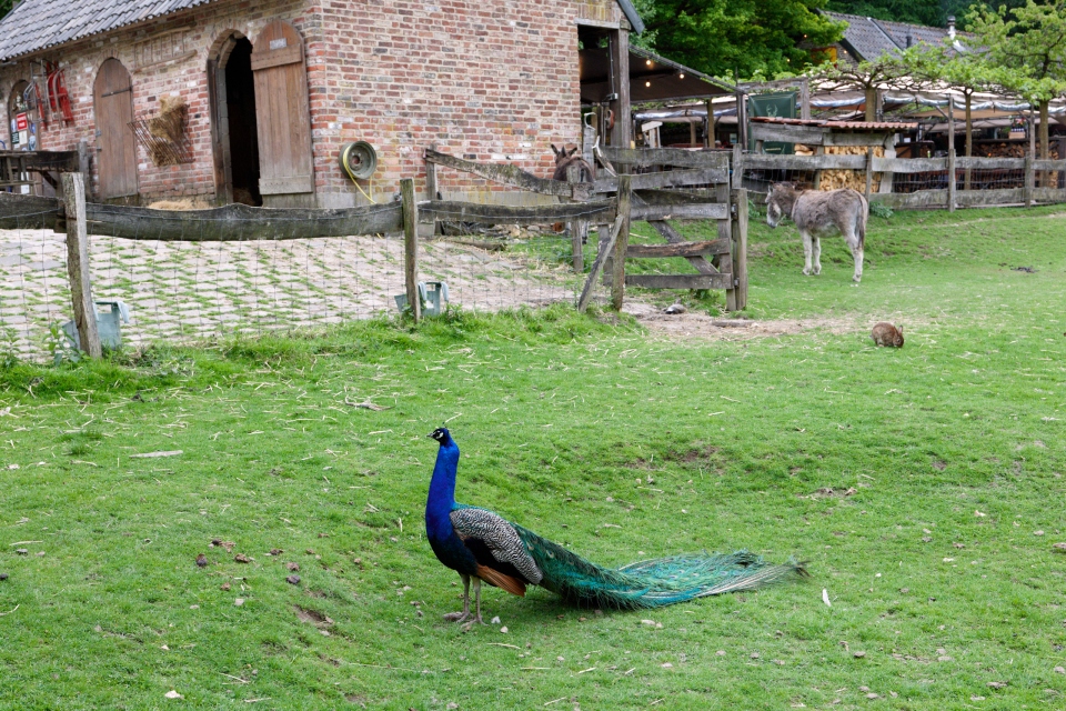 003_Capture-One_Canon-R3-Camera-Standard