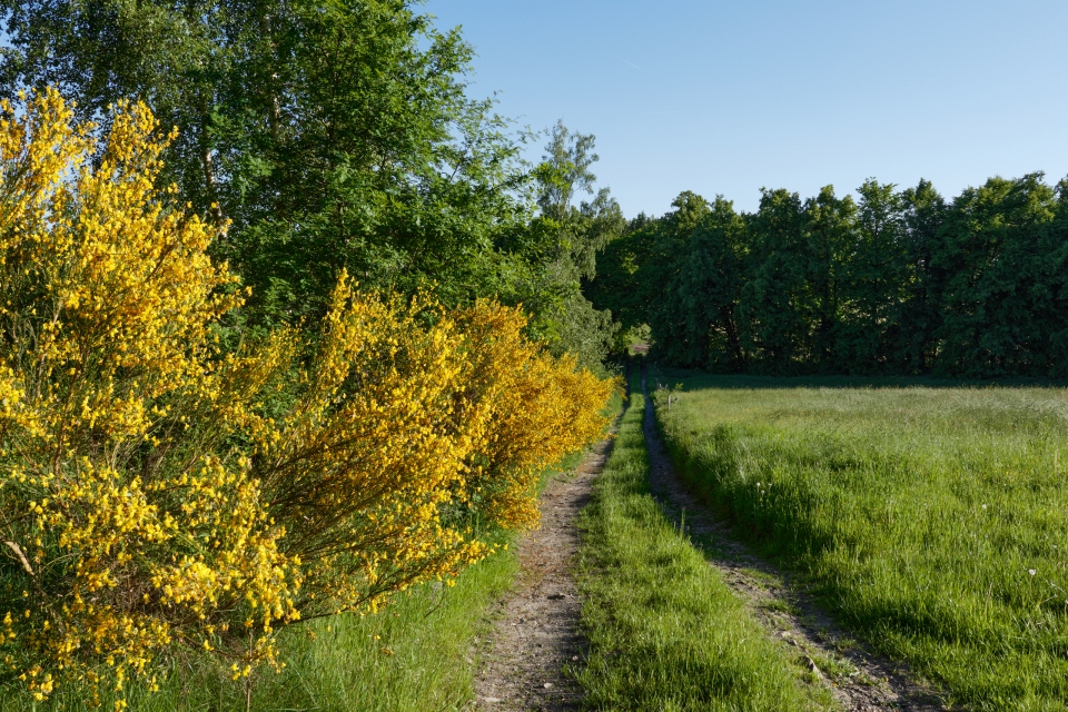 007_Capture-One_Canon-R3-Camera-Standard