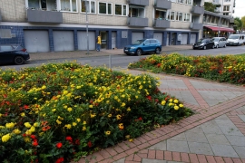 R52_8713_Capture-One_Canon-R5Mk2-Camera-Standard