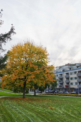 R52_8742_Capture-One_Canon-R5Mk2-Camera-Standard