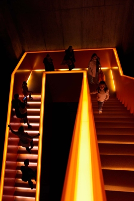 Canon-R5_0737_Capture-One_Standard-picture-style