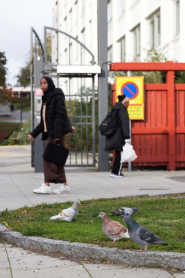 Canon-R5_4278_Capture-One_Standard-picture-style