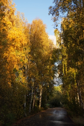 Canon-R5_4849_Capture-One_Standard-picture-style