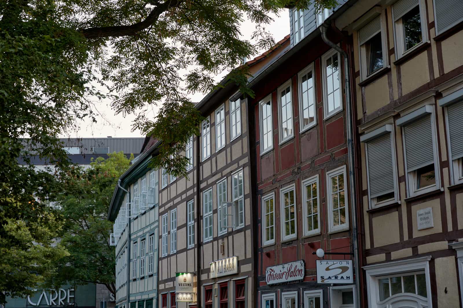 gottingen974