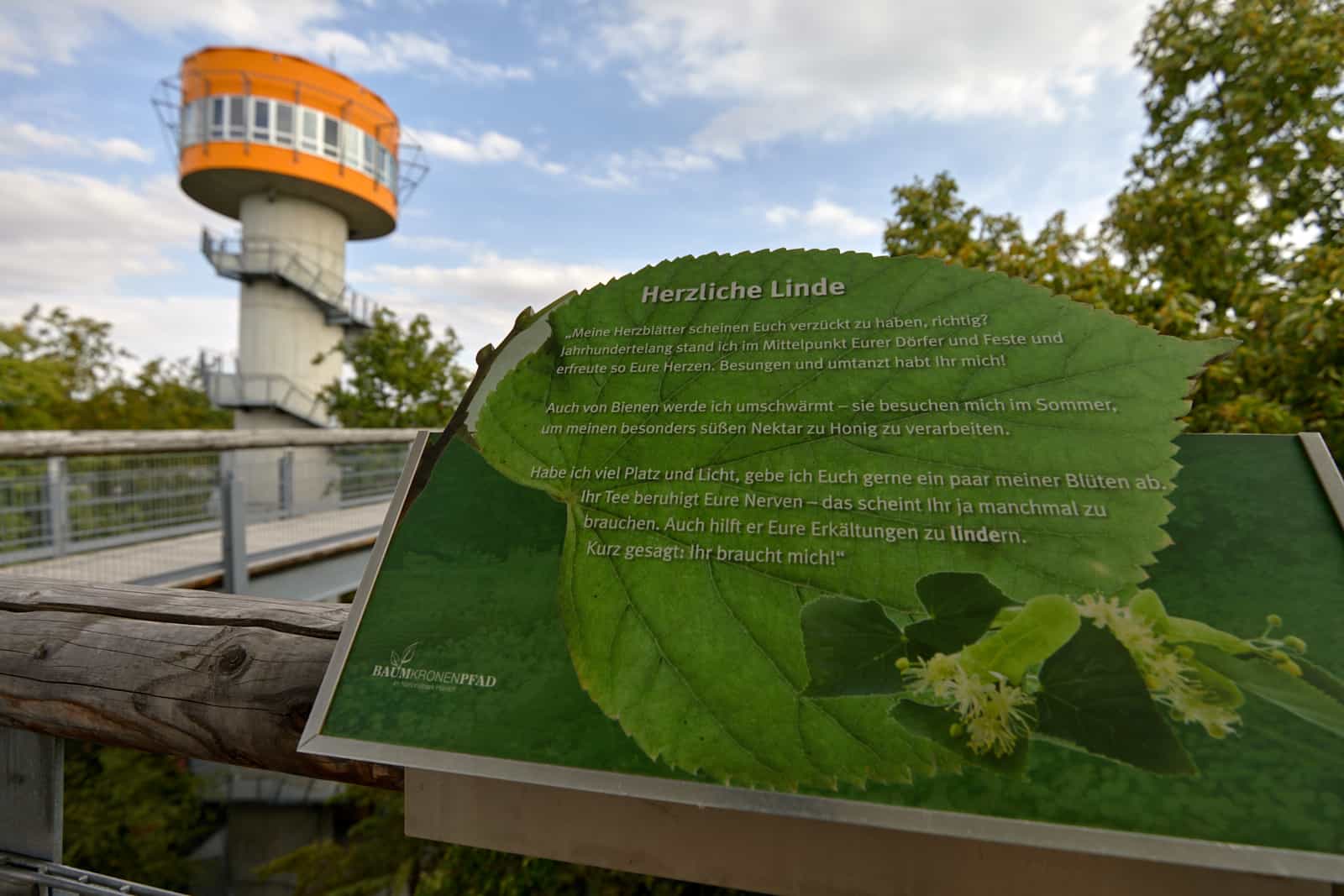 hainich013