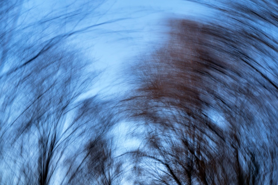 Canon-R1_CR12313_Capture-One_Camera-Portrait