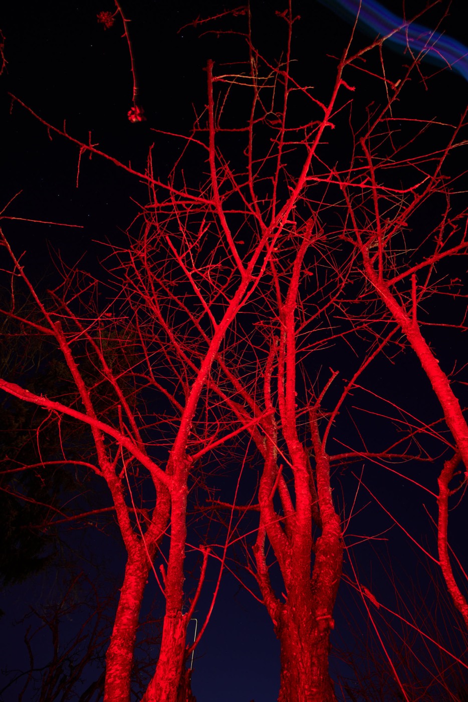 K0A0091_003