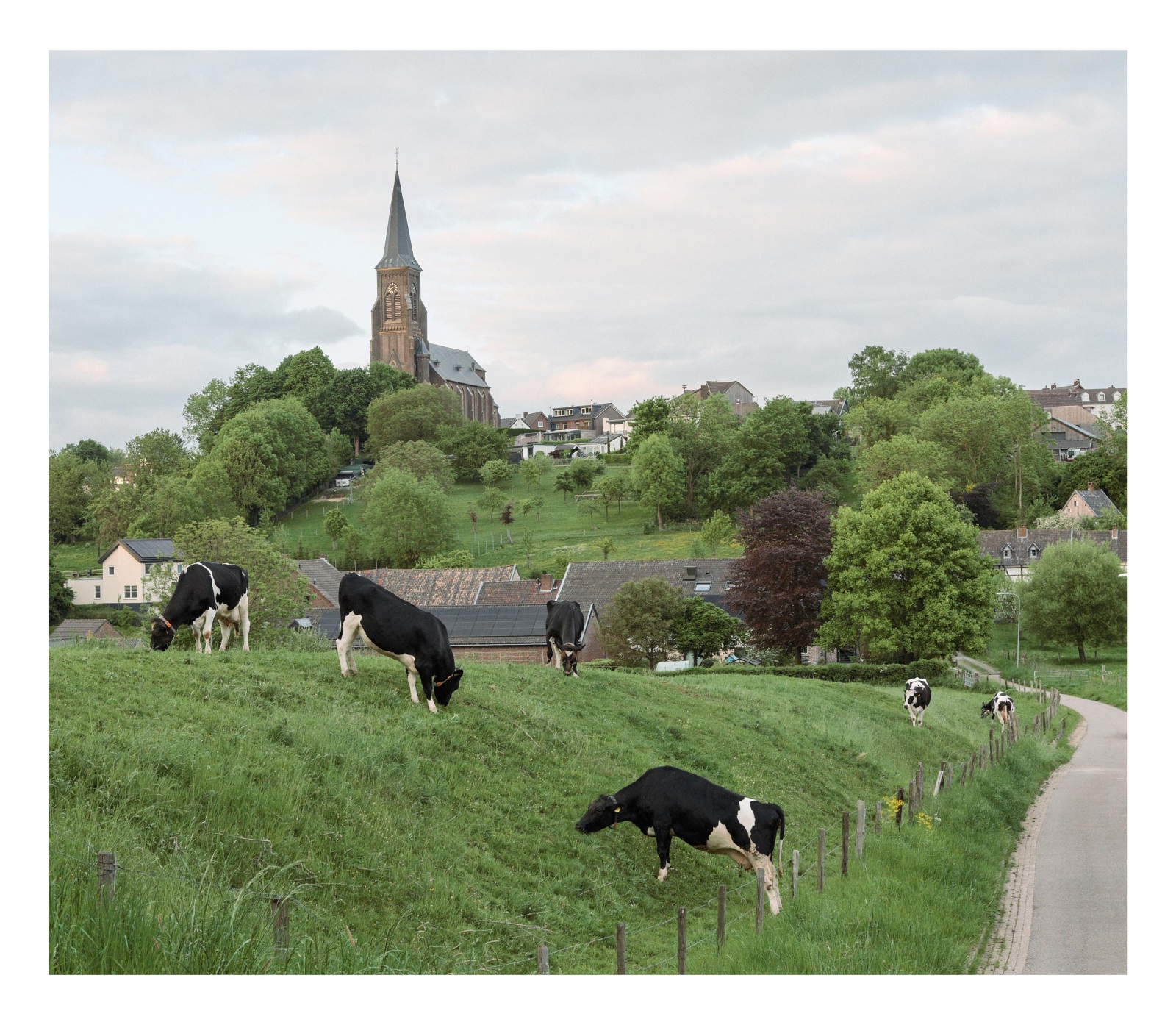 Kodak-Portra_Capture-One_1__4070-2560-01