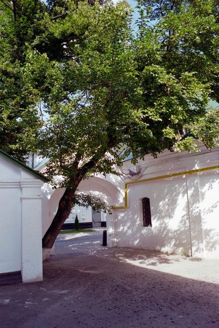 Odessa-7