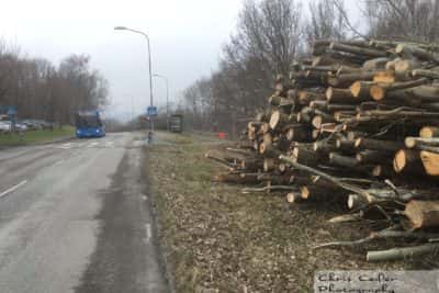 Sisjön Sisjödal kalhygge