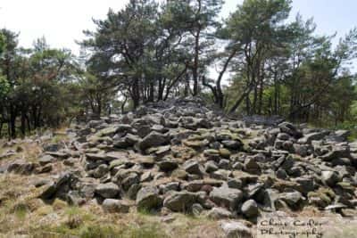 bronsåldersröse på Ardalsberget i Göteborg