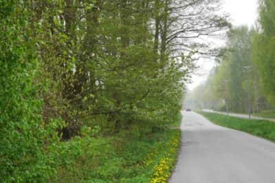 grönområde vid Säröleden i Göteborg