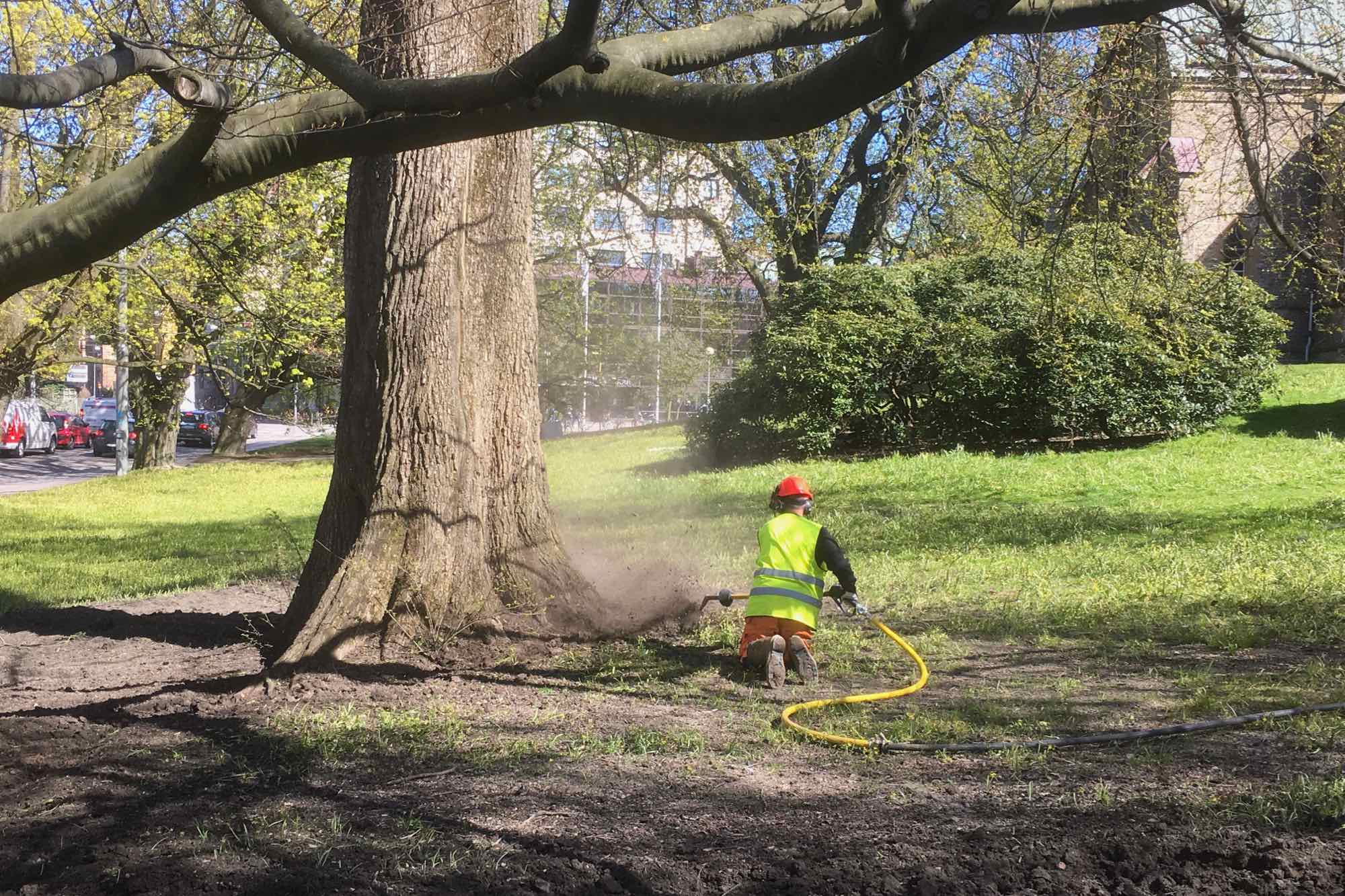 Västlänken Kungsparken Trädplan