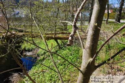 Deponi i Göteborg