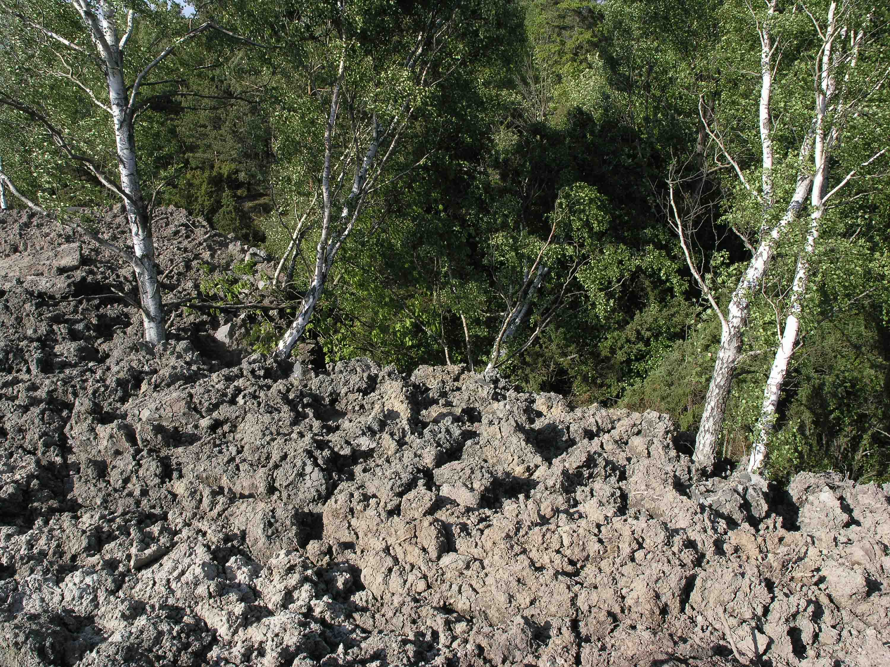 Förstörd skog under dumpning på Ardalsberget