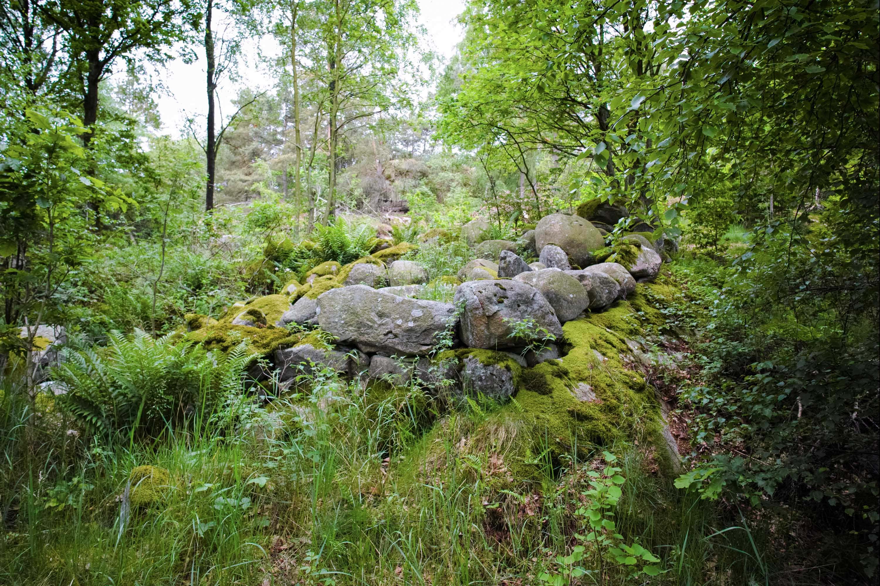 Stenåldersbosättningen på Ardalsberget i Göteborg