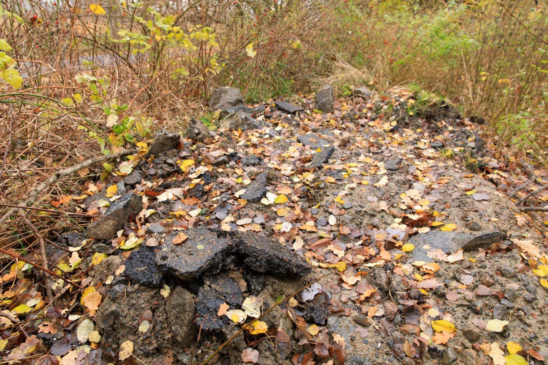 asfaltdumpning i Välens naturreservat