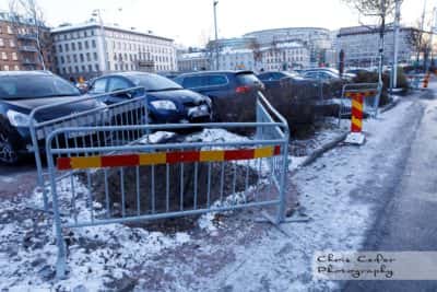 Västlänkens trädflytt