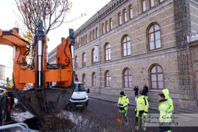 Västlänkens trädflytt
