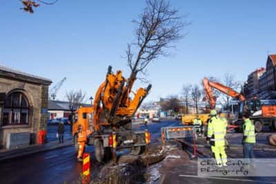 Träd flyttas under Västlänkenbygget