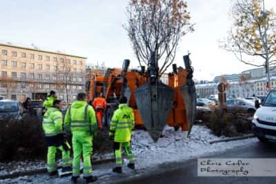 Västlänkens trädflytt