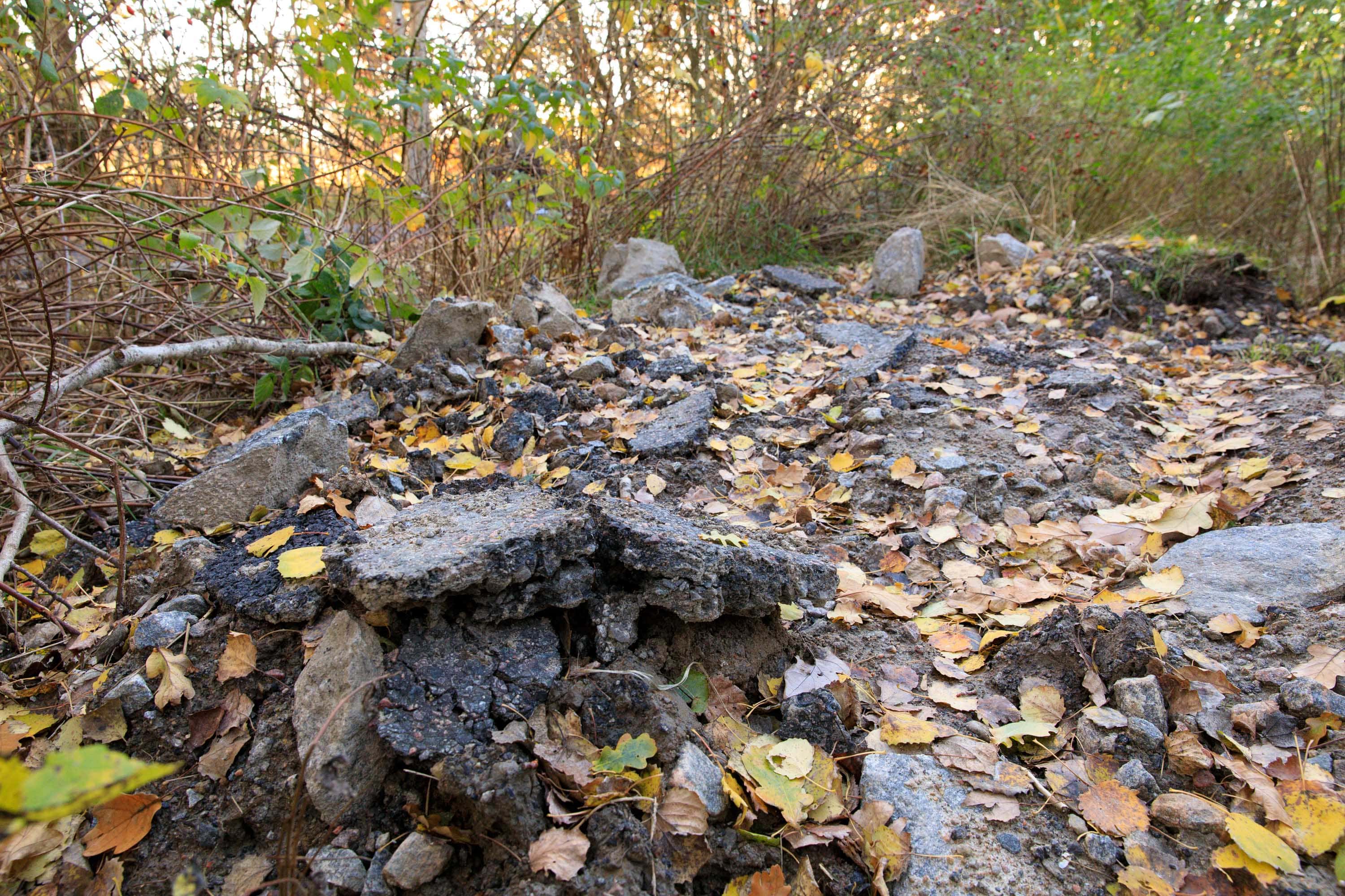 Asfalt dumpad i Välens naturreservat