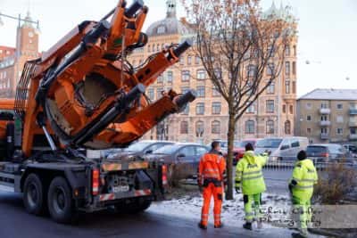 Västlänkens trädflytt