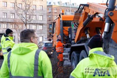 Västlänkens trädflytt