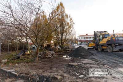 Göteborgs Stads trädpolicy i realiteten
