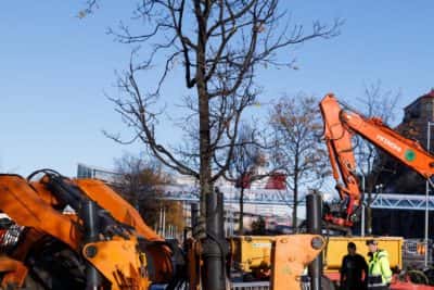 Träd flyttas under Västlänkenbygget