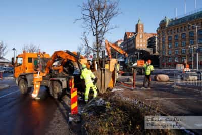 Träd flyttas under Västlänkenbygget