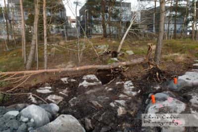 Skövling av Ruddalens Friluftsområde