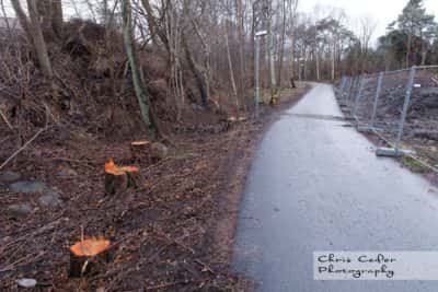 skövling av grönområde i Göteborg