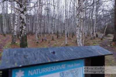 Hult Åsen naturreservat i Göteborg