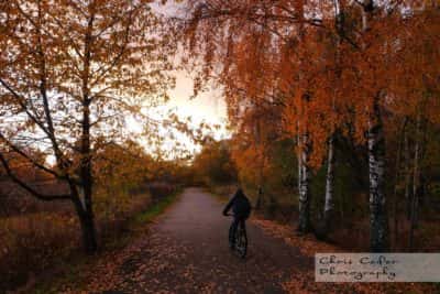 Välens naturreservat i Göteborg