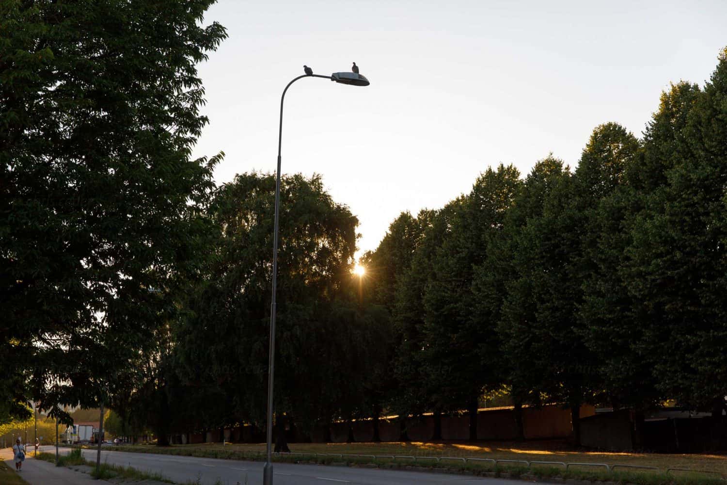 lindallén i Flatås