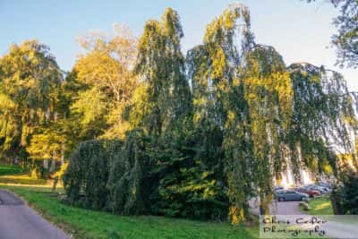 Gammal hängbok Överås Göteborg