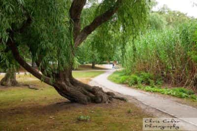 Muddy River Emerald Necklace i Boston