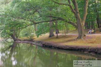 The Riverway Emerald Necklace Boston