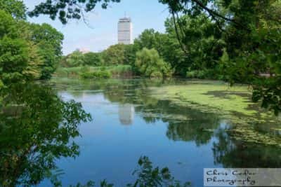 Muddy River Emerald Necklace i Boston