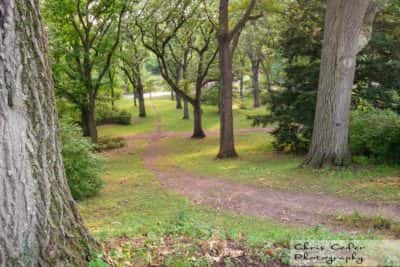 Harvard Arboretum