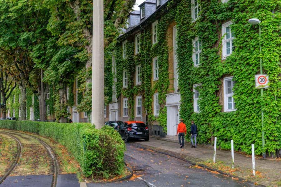grönstråk